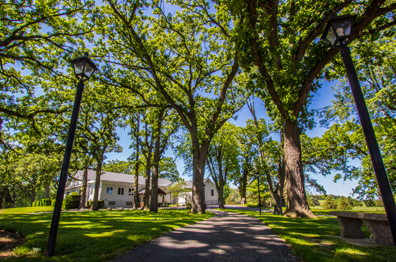 trees near clubhouse