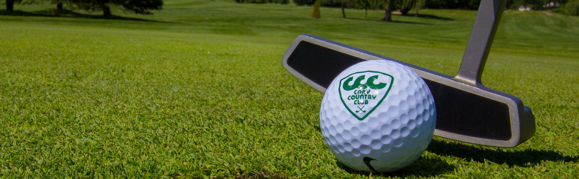 View of golf ball before a putt