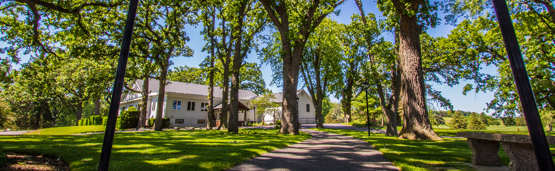 Trees near clubhouse